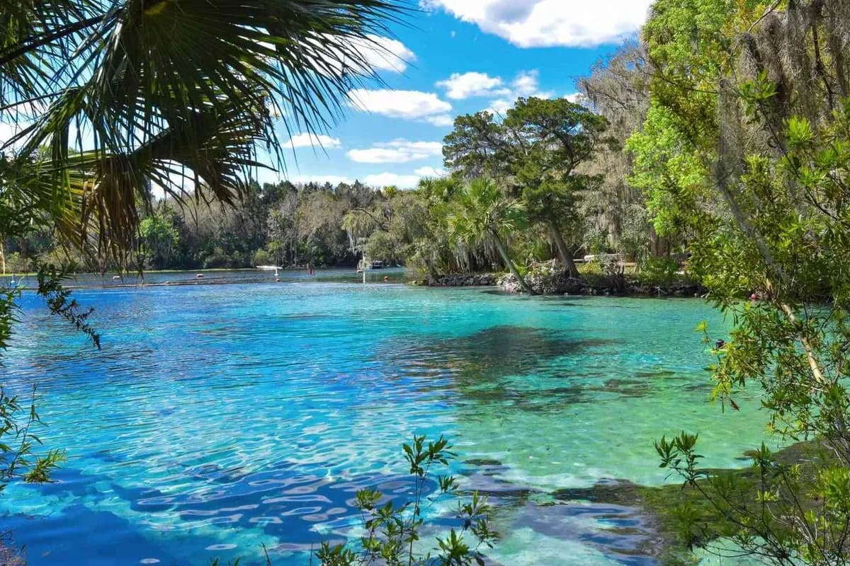 Nature Coast